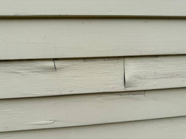 Affordable Siding Repair and Maintenance Services in Crawfordville, FL